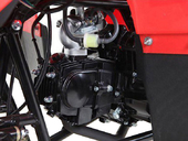Подростковый квадроцикл Motax ATV A-54 (бензиновый 125 куб. см.) - Фото 15