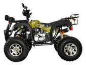 Квадроцикл Avantis Hunter 150 Premium (бензиновый 150 куб. см.) - Фото 15