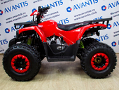 Квадроцикл Avantis Hunter 8 New Lux (бензиновый 125 куб. см.) - Фото 12