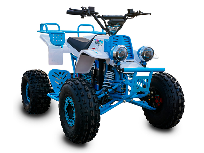 Электроквадроцикл ECOMOTO Monster TRUCK (1500 ватт)