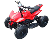Электрический квадроцикл El-sport Kids ATV 800W 36V, 12Ah (800 ватт) - Фото 0