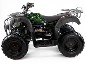 Квадроцикл бензиновый MOTAX ATV Grizlik 200 NEW - Фото 1