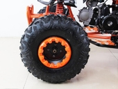 Подростковый квадроцикл Motax ATV T-Rex 7 125 cc (125 кубов) - Фото 12