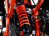 Подростковый квадроцикл Motax ATV T-Rex 7 125 cc (125 кубов) - Фото 16