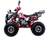 Квадроцикл WELS THUNDER EVO LUX X 125 (бензиновый 125 куб. см.) - Фото 1