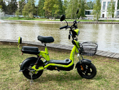 Электровелосипед Elbike Dacha Mini 20 - Фото 21