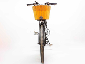 Электровелосипед GreenCamel Бриз (R26 350W 36V 10Ah) - Фото 7