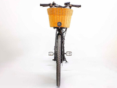 Электровелосипед GreenCamel Бриз (R26 350W 36V 10Ah) - Фото 11
