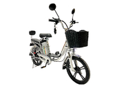 Электровелосипед GreenCamel Транк 18 V8 PRO (R18 250W 60V 10Ah) - Фото 0