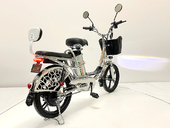 Электровелосипед GreenCamel Транк 18 V8 PRO (R18 250W 60V 10Ah) - Фото 4