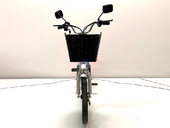 Электровелосипед GreenCamel Транк 20 V8 PRO (R20 250W 60V 20Ah) - Фото 7