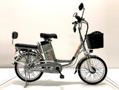 Электровелосипед GreenCamel Транк 20 V8 (R20 250W 60V 10Ah) - Фото 1