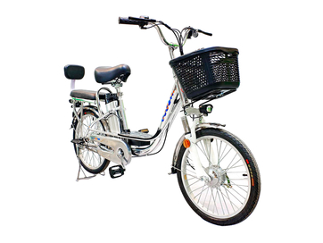 Электровелосипед GreenCamel Транк-20 V2 (R20) [без АКБ]
