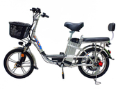 Электровелосипед GreenCamel Транк-18 (R18 350W 48V 10/15Ah) - Фото 2