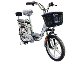 Электровелосипед GreenCamel Транк-18 (R18 350W 48V 10/15Ah) - Фото 3