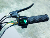 Электровелосипед GreenCamel Транк-18 (R18 350W 48V 10/15Ah) - Фото 9