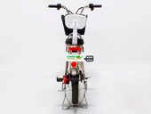 Электровелосипед GreenCamel Транк-18-60 (R18 350W 60V) - Фото 3