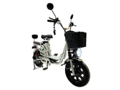 Электровелосипед GreenCamel Транк Монстр PRO (R16FAT 500W 48V15Ah) - Фото 0