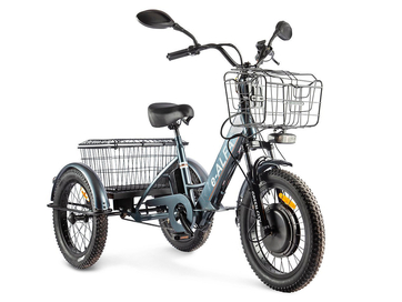 Электровелосипед GREEN CITY e-ALFA Trike (серебристый)