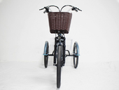 Электровелосипед трицикл GreenCamel Трайк-B (R24 500W 48V 15Ah) - Фото 5