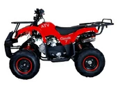 Подростковый бензиновый квадроцикл ATV Classic 7 (125 куб. см.) - Фото 15