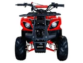 Подростковый бензиновый квадроцикл ATV Classic 7 (125 куб. см.) - Фото 17