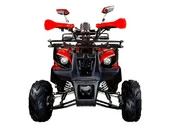 Подростковый квадроцикл Avantis Hunter 7+ (бензиновый 125 куб. см.) - Фото 17