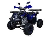 Подростковый квадроцикл Avantis Hunter 7+ (бензиновый 125 куб. см.) - Фото 24