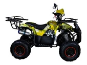 Подростковый квадроцикл Avantis Hunter 7+ (бензиновый 125 куб. см.) - Фото 27