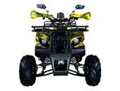 Подростковый квадроцикл Avantis Hunter 7+ (бензиновый 125 куб. см.) - Фото 33