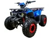 Avantis Hunter 8 New (125 кубов)