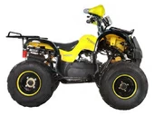 Подростковый квадроцикл Avantis Hunter 8M+ (бензиновый 125 кубов) - Фото 12
