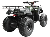 Квадроцикл WELS ATV Thunder 200 LUX (бензиновый 200 куб. см.) - Фото 3