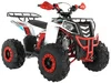 WELS THUNDER EVO 125 (125 кубов)