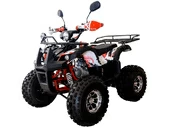 Квадроцикл WELS THUNDER EVO LUX X 125 (бензиновый 125 куб. см.) - Фото 0