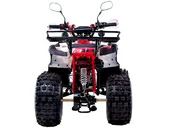 Квадроцикл WELS THUNDER EVO LUX X 125 (бензиновый 125 куб. см.) - Фото 2