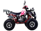 Квадроцикл WELS THUNDER EVO LUX X 125 (бензиновый 125 куб. см.) - Фото 3