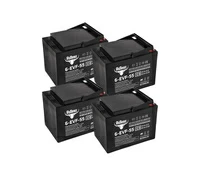 RuTrike 6-EVF-55 (48V55A/H C3)