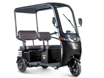 Электротрицикл Gelbert Bos 48V/60V 800Вт (черный)